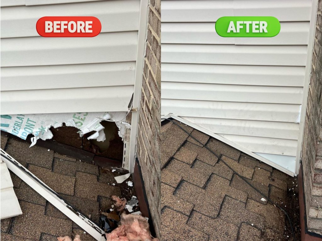 Raccoon Damage Repairs Richmond VA- Critter Authority Raccoon Removal