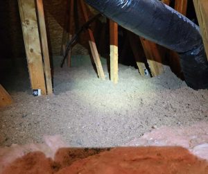 critter authority blown-in cellulose insulation