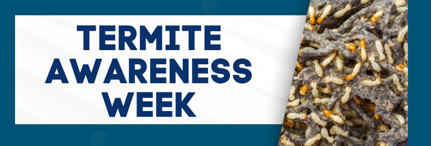 Termite Awareness Week